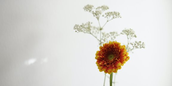 03-Meditation-Blume.jpg